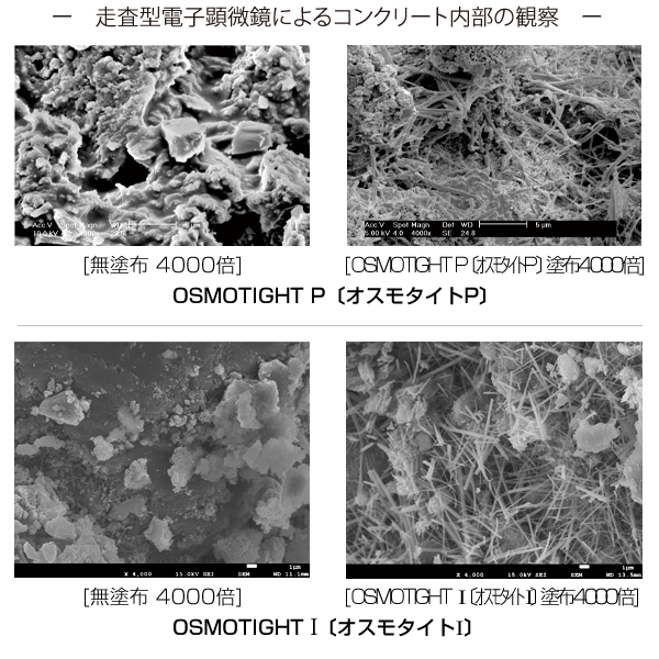 走査型電子顕微鏡によるコンクリート内部